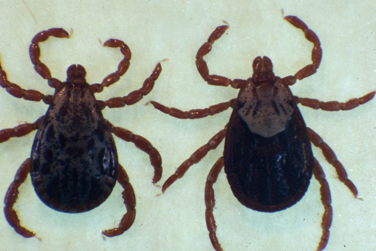 Screen Shot 2021-05-06 at 10.08.04 AM